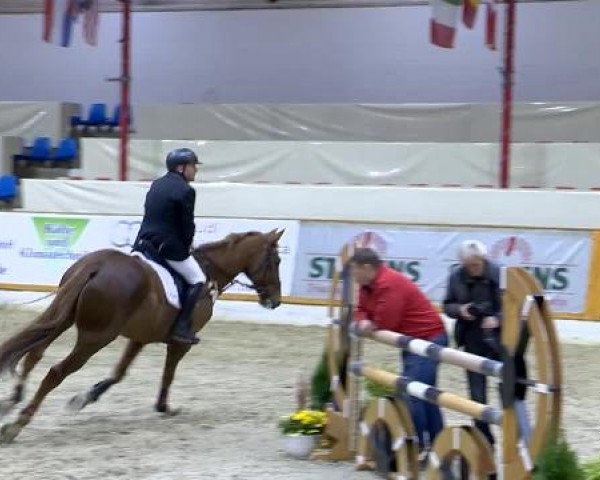 12. Hallenchampionat Vechta