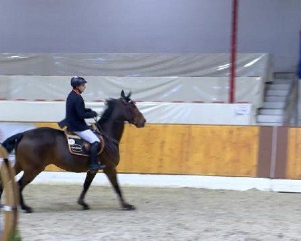 12. Hallenchampionat Vechta