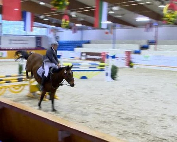 12. Hallenchampionat Vechta