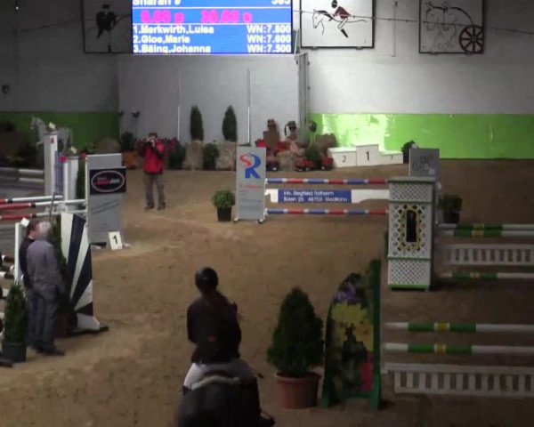 17. Legdener Pony-Meeting