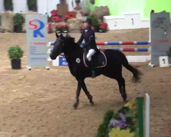 17. Legdener Pony-Meeting