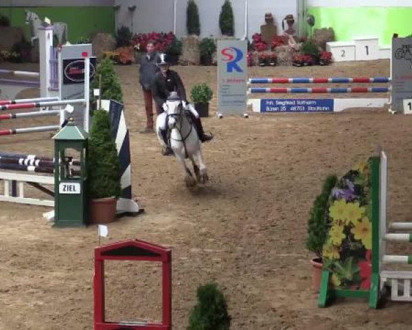 17. Legdener Pony-Meeting