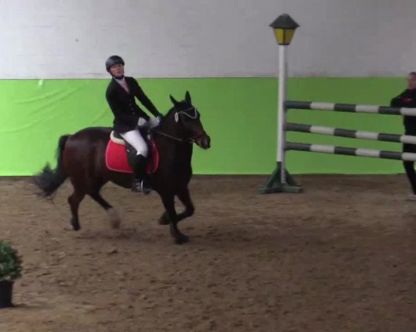 17. Legdener Pony-Meeting
