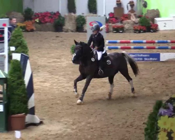 17. Legdener Pony-Meeting