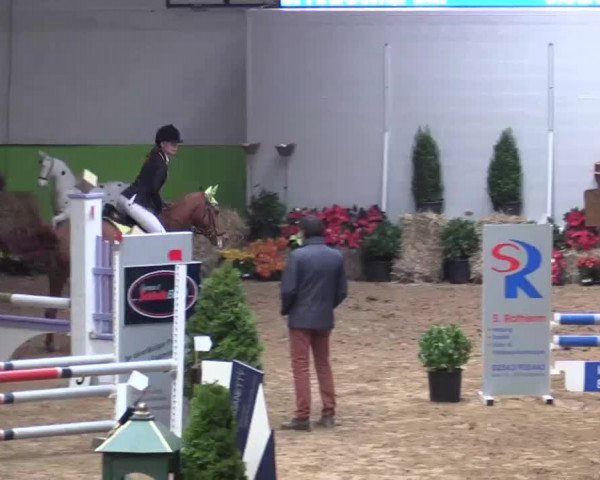 17. Legdener Pony-Meeting