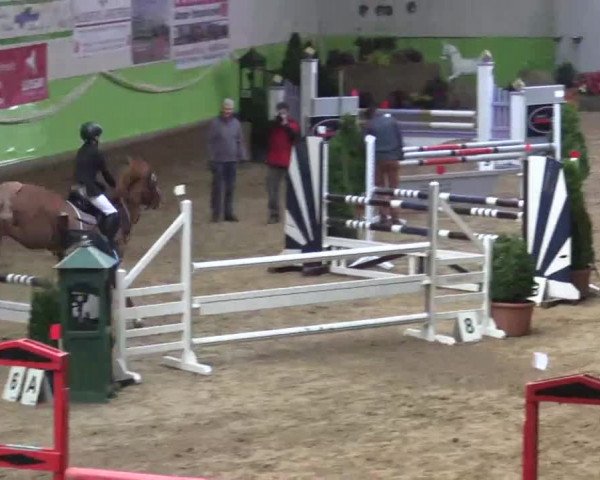 17. Legdener Pony-Meeting