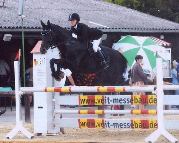 horse Ventara (Trakehner, 1995, from Abisko)