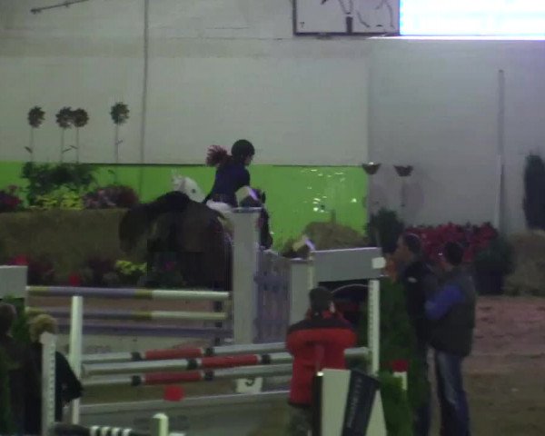 17. Legdener Pony-Meeting
