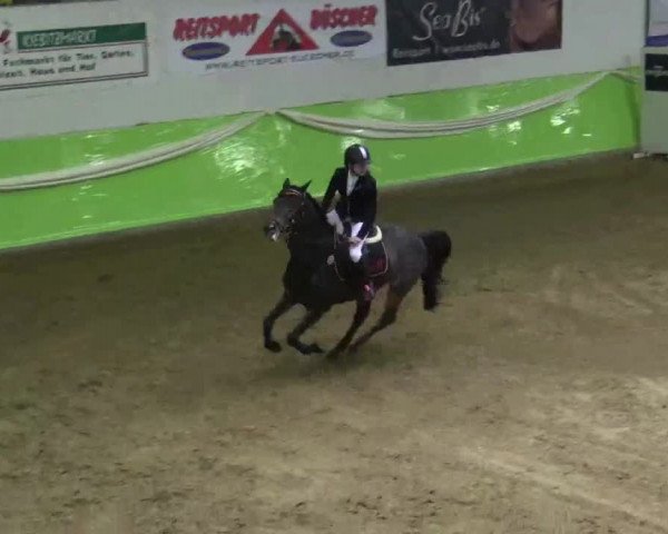 17. Legdener Pony-Meeting