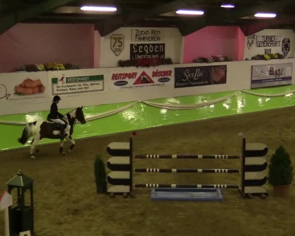 17. Legdener Pony-Meeting