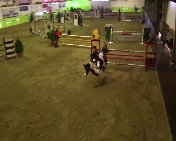 17. Legdener Pony-Meeting