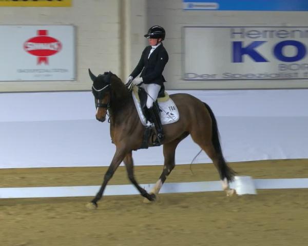 Reitturnier Borken 2026