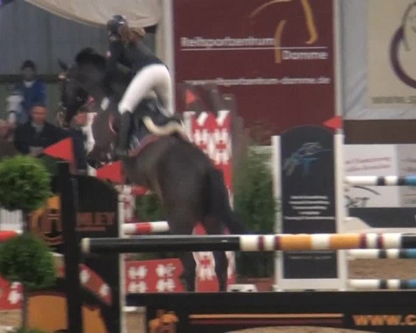 CSI* Damme 2014