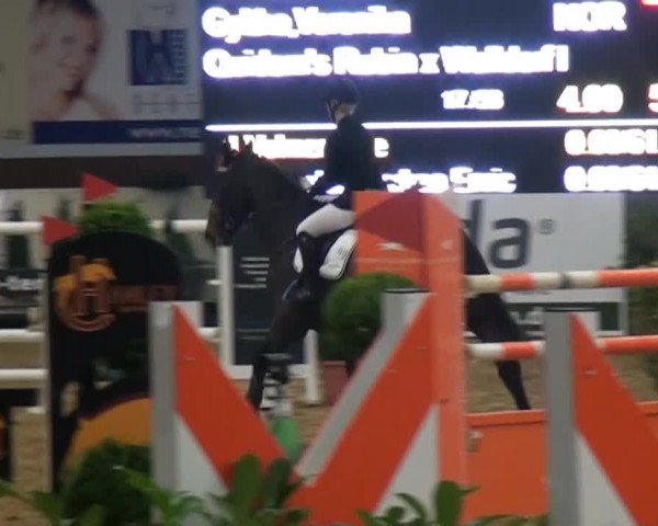 CSI* Damme 2014