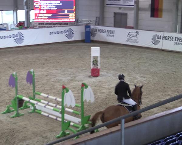 Reitturnier Prussendorf 2026