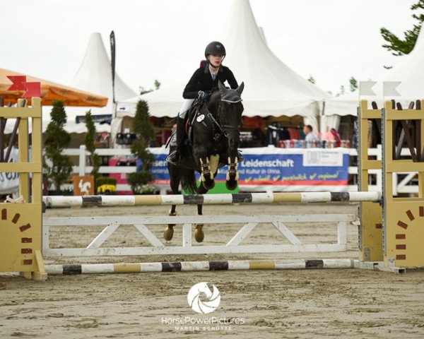 broodmare Danny's Girl (German Riding Pony, 2003, from Danny Gold)