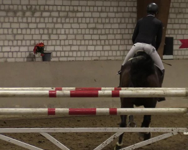 Reitturnier Kamen 2021