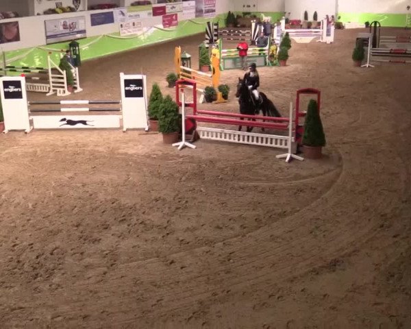 17. Legdener Pony-Meeting