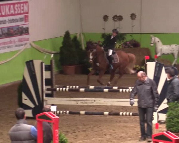 17. Legdener Pony-Meeting