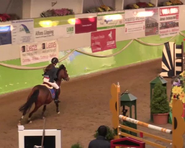 17. Legdener Pony-Meeting