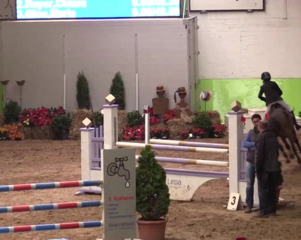17. Legdener Pony-Meeting