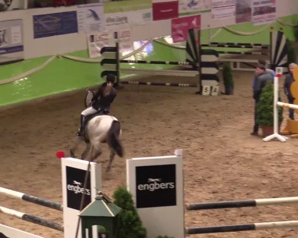 17. Legdener Pony-Meeting