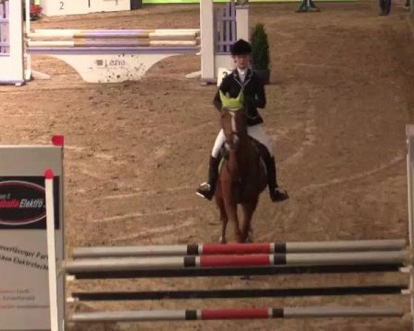 17. Legdener Pony-Meeting