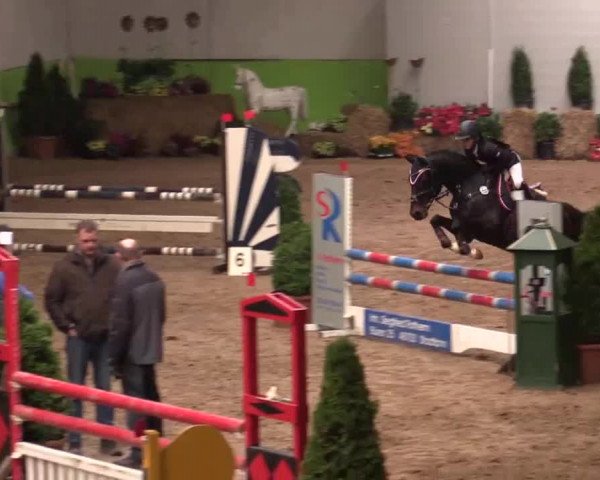 17. Legdener Pony-Meeting
