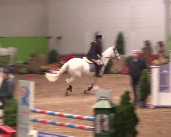 17. Legdener Pony-Meeting