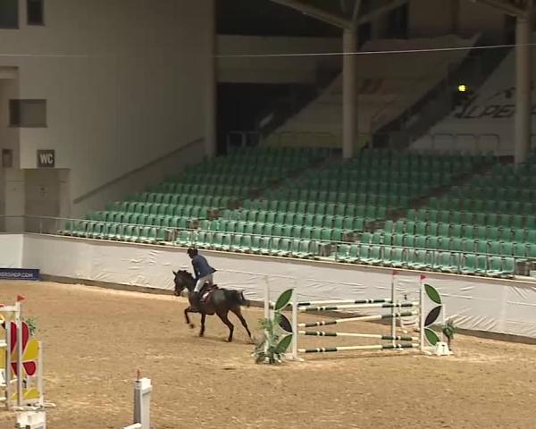 Reitturnier Kreuth/Opf. 2026