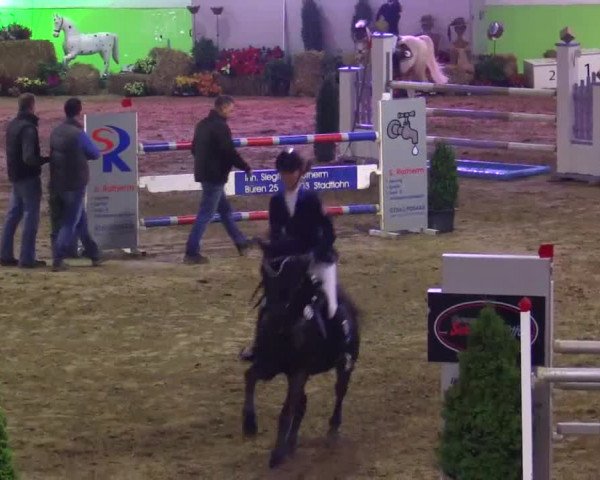 17. Legdener Pony-Meeting