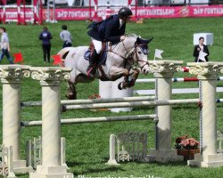jumper Tamise de Thebergeais (French Pony, 2007, from Ultra de Ruille)