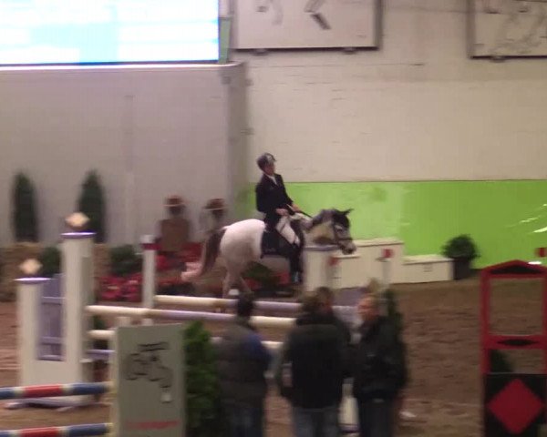 17. Legdener Pony-Meeting