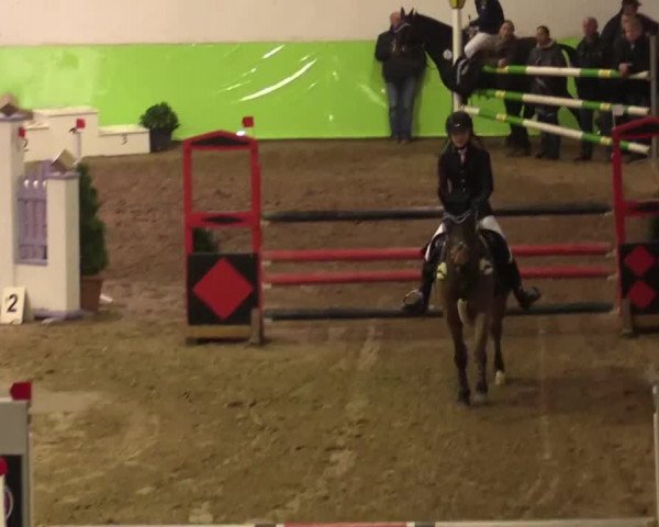 17. Legdener Pony-Meeting
