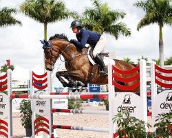 Springpferd Joli van het Reigershof (Belgisches Warmblut, 2009, von Kalaska de Semilly)