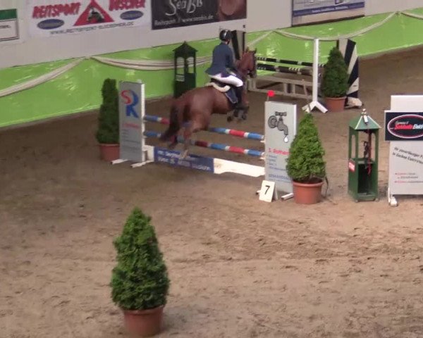 17. Legdener Pony-Meeting