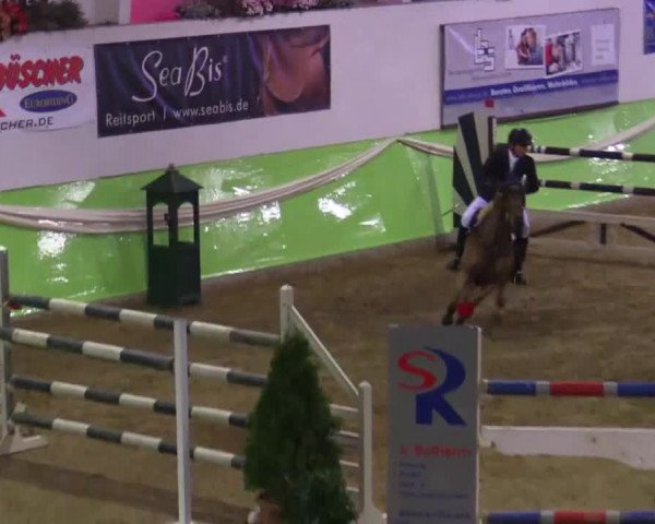 17. Legdener Pony-Meeting