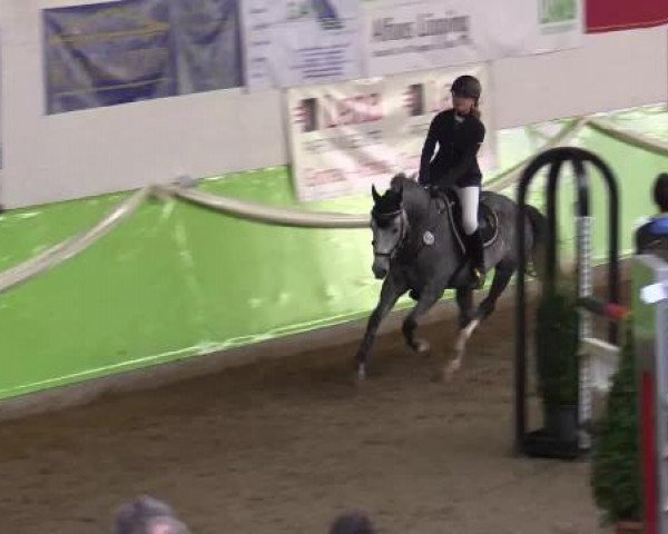 17. Legdener Pony-Meeting