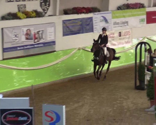 17. Legdener Pony-Meeting
