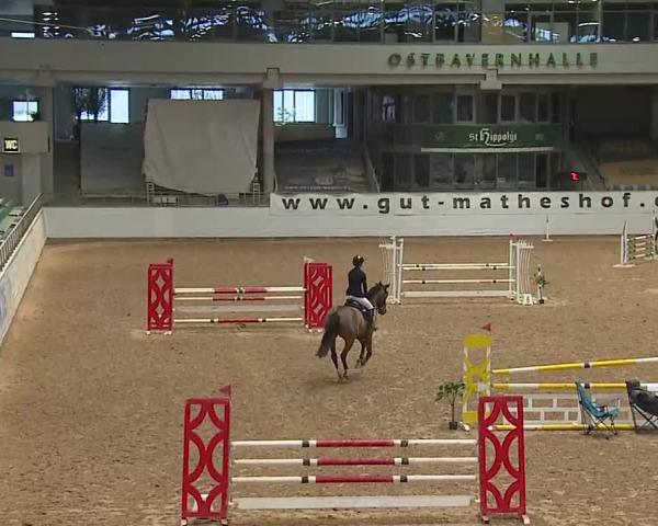 Reitturnier Kreuth/Opf. 2026