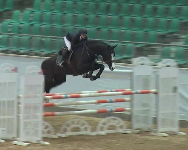 Reitturnier Kreuth/Opf. 2021