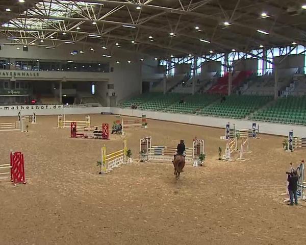 Reitturnier Kreuth/Opf. 2026