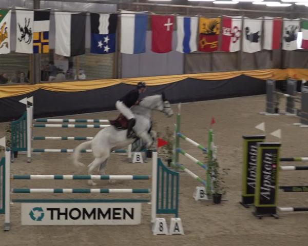 Reittturnier Erlen 2026