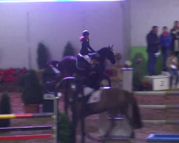 17. Legdener Pony-Meeting
