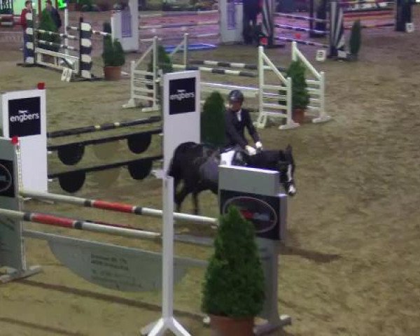 17. Legdener Pony-Meeting