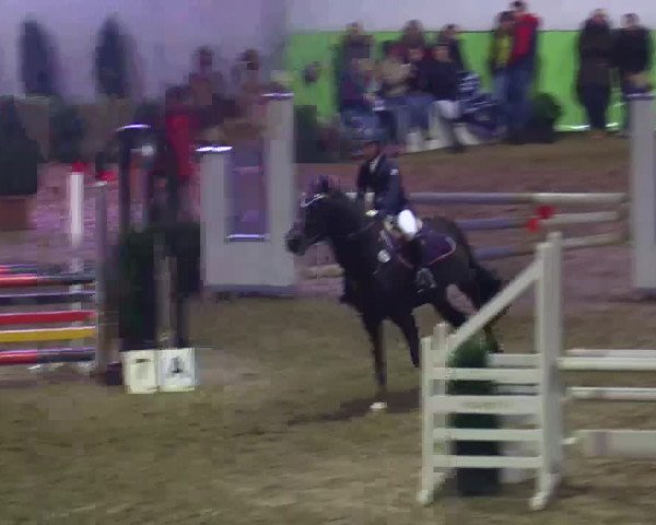 17. Legdener Pony-Meeting
