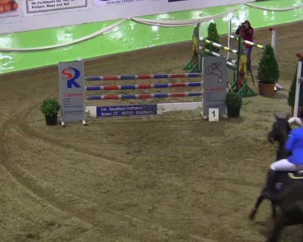 17. Legdener Pony-Meeting