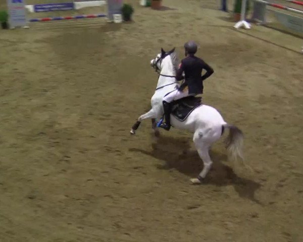 17. Legdener Pony-Meeting