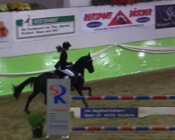 17. Legdener Pony-Meeting