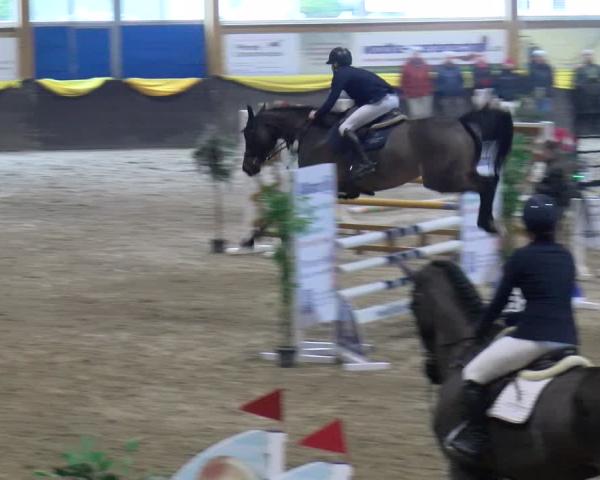 Reitturnier Sauldorf-Boll 2026